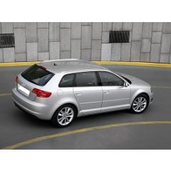 Uitlaatsysteem AUDI A3 1.2 TSi (Sportback)