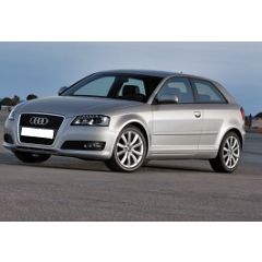 Uitlaatsysteem AUDI A3 1.4 TFSI (Hatchback)