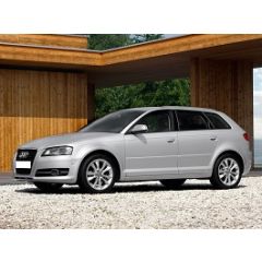 Uitlaatsysteem AUDI A3 1.4 TFSI (Sportback)
