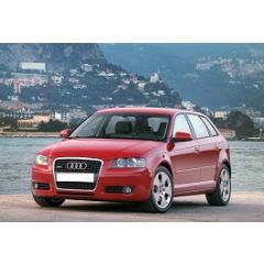 Uitlaatsysteem AUDI A3 1.6 FSi (Sportback)