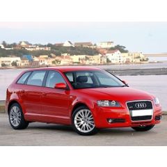 Uitlaatsysteem AUDI A3 1.6 FSi (Sportback)