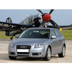 Uitlaatsysteem AUDI A3 1.6 FSi (Sportback)