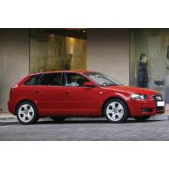 Uitlaatsysteem AUDI A3 1.6 FSi (Sportback S-Line)