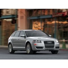 Uitlaatsysteem AUDI A3 1.6 FSi (Sportback S-Line)