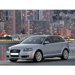 Uitlaatsysteem AUDI A3 1.6 FSi (Sportback)