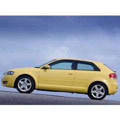 Uitlaatsysteem AUDI A3 2.0 TDi (Hatchback)