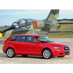Uitlaatsysteem AUDI A3 2.0 TDi (Sportback S-Line)
