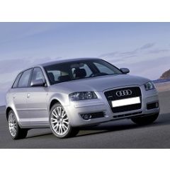 Uitlaatsysteem AUDI A3 2.0 TDi (Sportback S-Line)