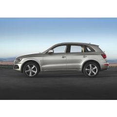 Uitlaatsysteem AUDI Q5 2.0 TDi (SUV)