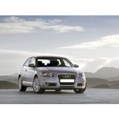 Uitlaatsysteem AUDI A3 1.6 FSi (Hatchback)