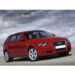 Uitlaatsysteem AUDI A3 1.6 FSi (Sportback)