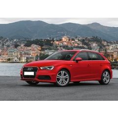 Uitlaatsysteem AUDI A3 1.6 TDi (Sportback)