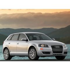 Uitlaatsysteem AUDI A3 2.0 TDi (Sportback)