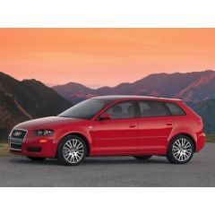 Uitlaatsysteem AUDI A3 2.0 TDi (Sportback S-Line)