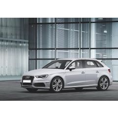 Uitlaatsysteem AUDI A3 1.4 TFSi (Sportback)