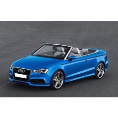 Uitlaatsysteem AUDI A3 1.4 TFSi (Cabrio|Cabriolet)
