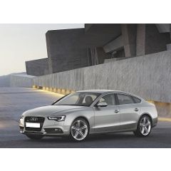 Uitlaatsysteem AUDI A5 1.8 TFSi (Sportback|Coupé|Cabrio|Cabriolet)