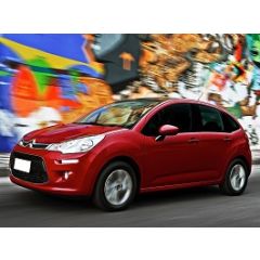 Uitlaatsysteem CITROEN C3 1.6 HDi (Hatchback)