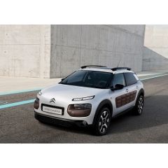Uitlaatsysteem CITROEN C4 Cactus 1.6 HDi (Hatchback)