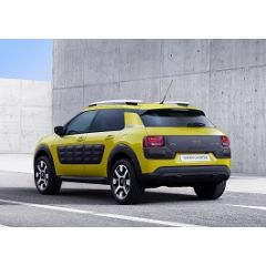 Uitlaatsysteem CITROEN C4 Cactus 1.2 VTi (Hatchback)