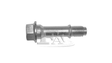 Bout M12x55 mm
